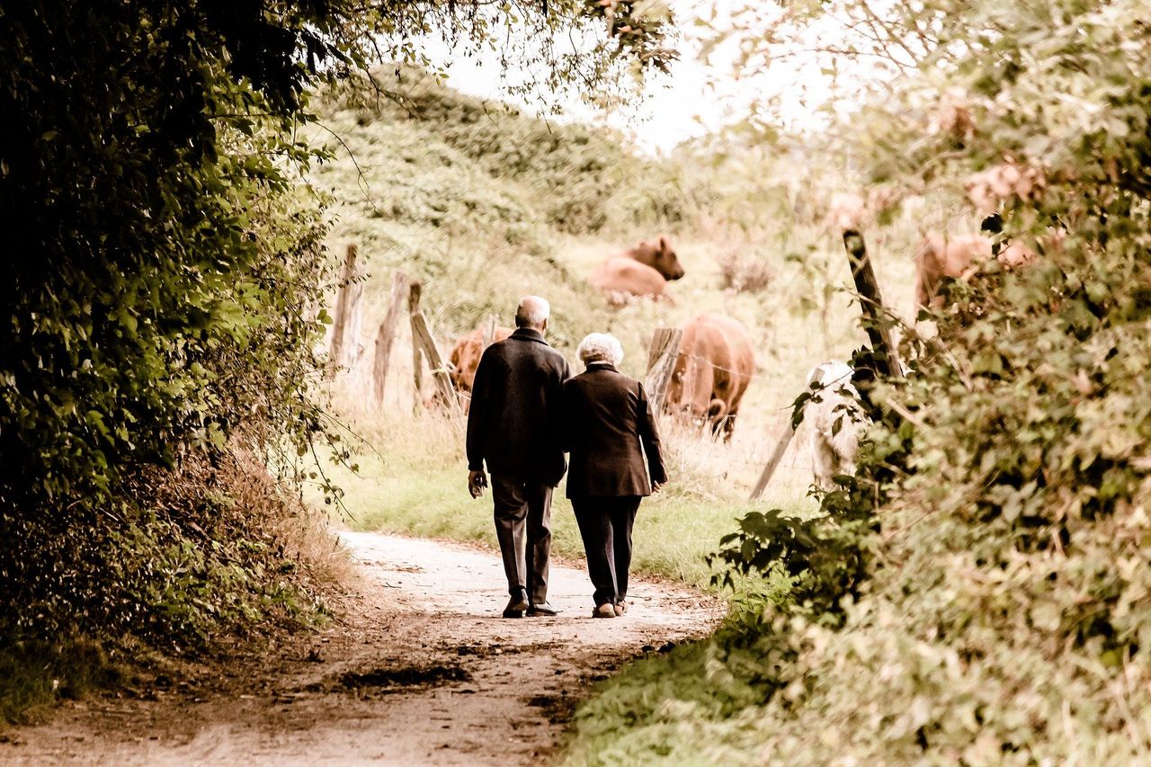 84% of people feel access to nature was important for their mental health last year