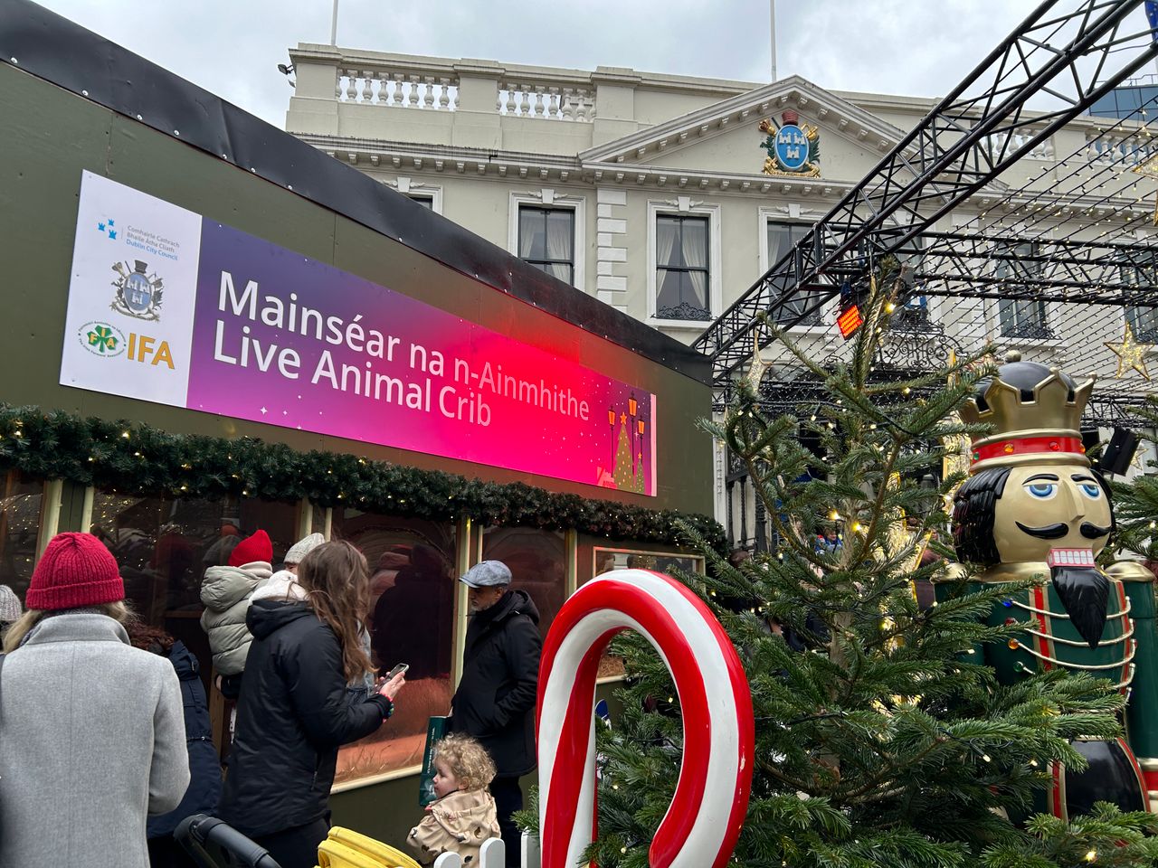 Watch: Live animal crib launched by Dublin's Lord Mayor