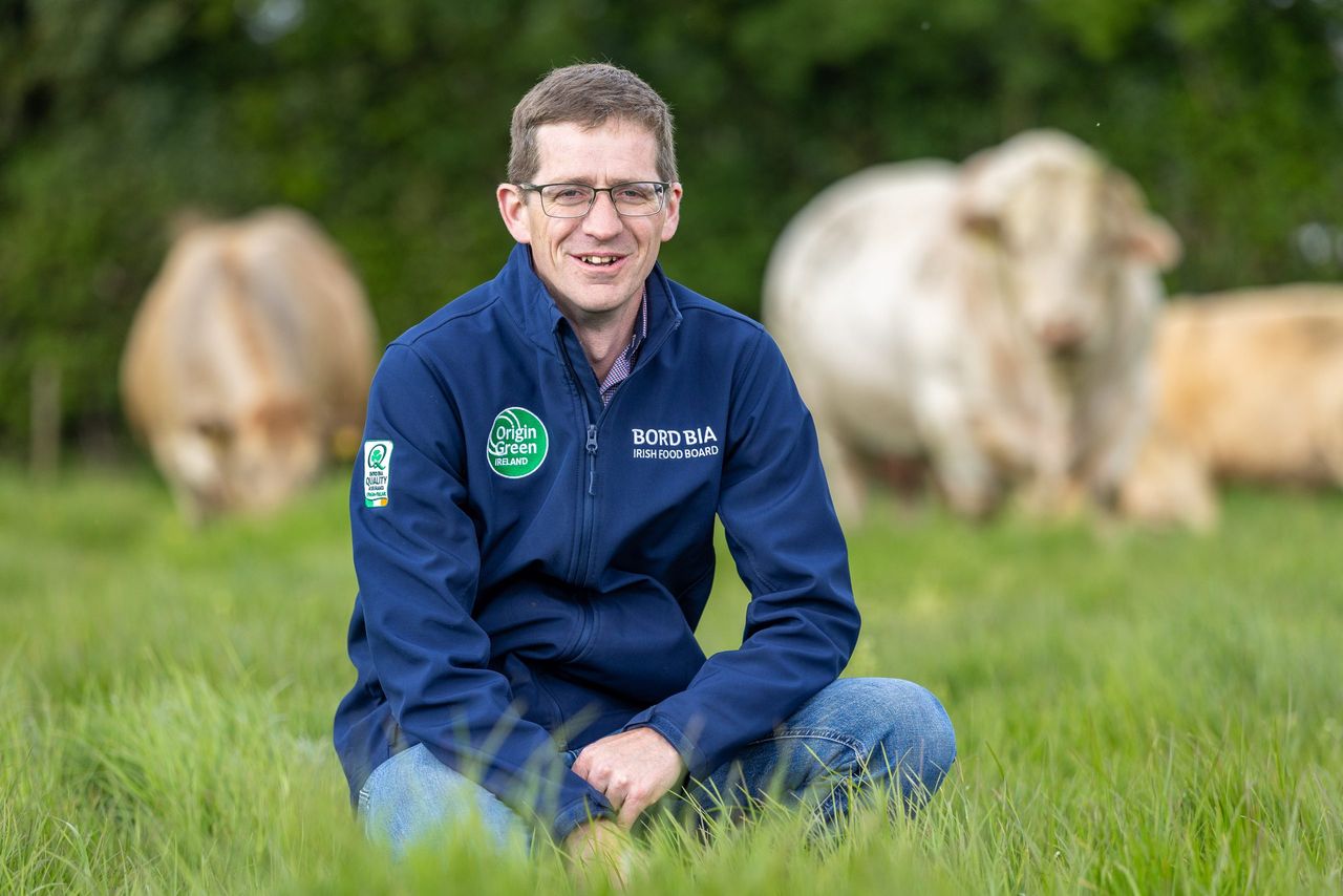 What is Bord Bia's role in Irish farm sustainability?