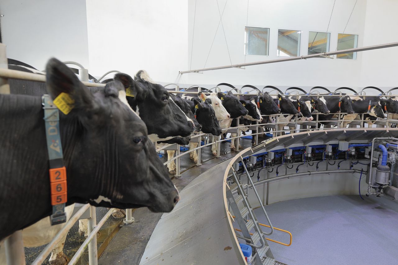 DeLaval launches 'Think Big' initiative for dairy farmers looking to expand