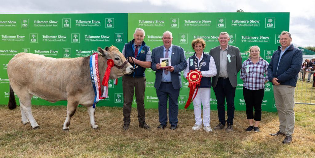 The Aubrac champion was owned by Colin Jackson from Kiltegan, Co. Wicklow. Source: Alf Harvey.
