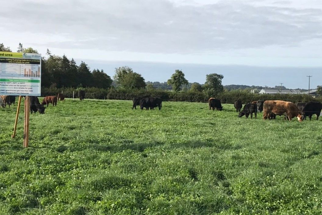 Host of Teagasc events postponed due to weather