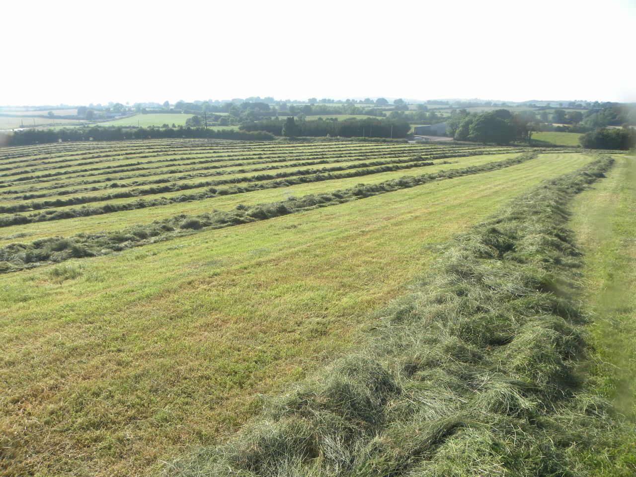 Does my silage ground need more fertiliser?