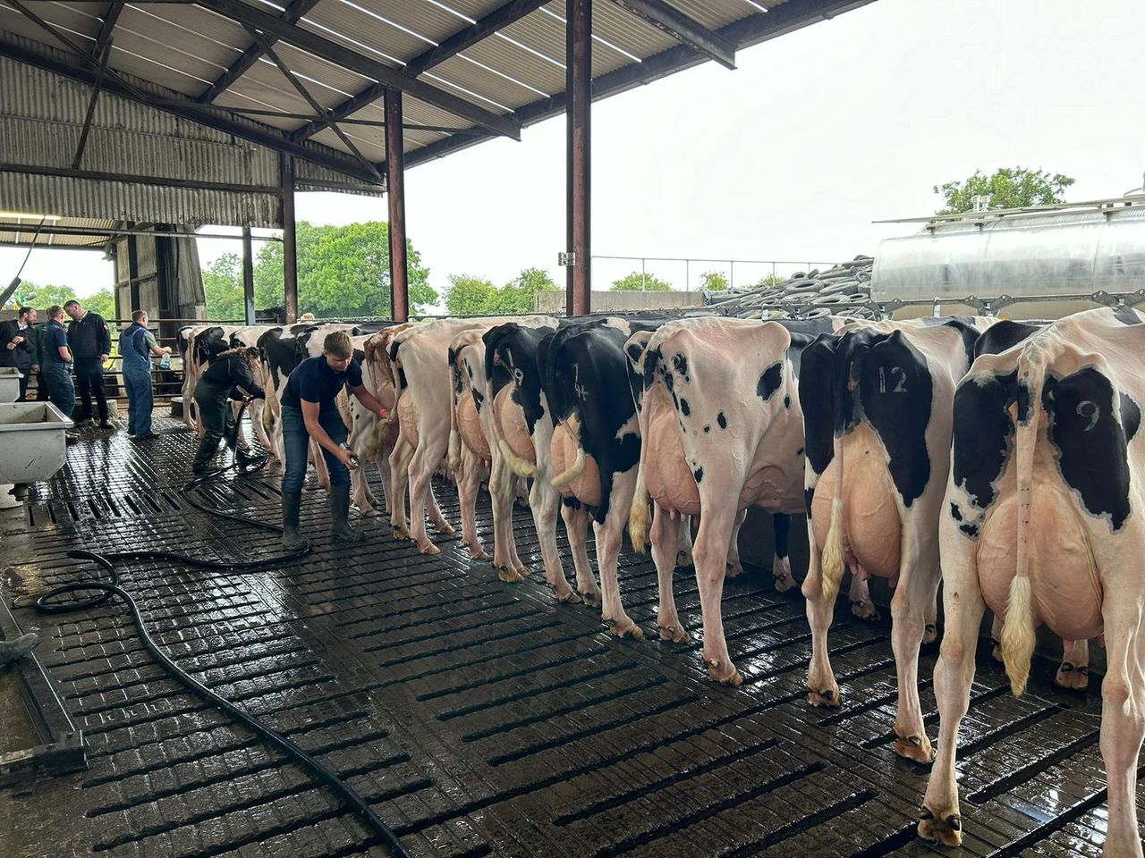 Watch: Dondale Herd impresses at the IHFA national open day