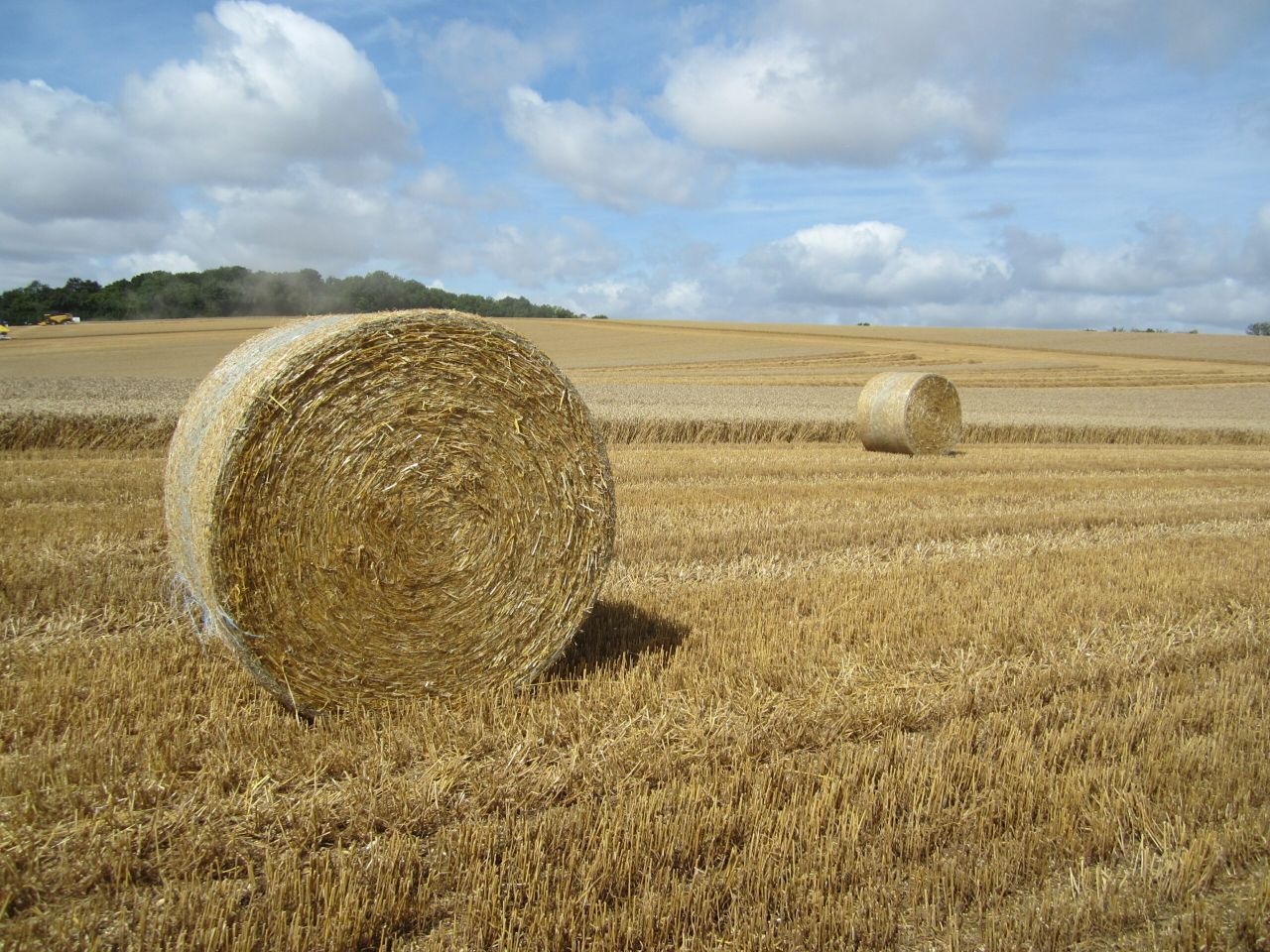 'EU agriculture will struggle to grow'
