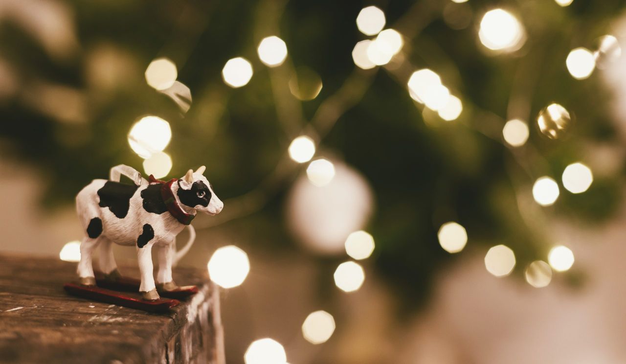 Met Éireann: No white Christmas, but mild and more settled