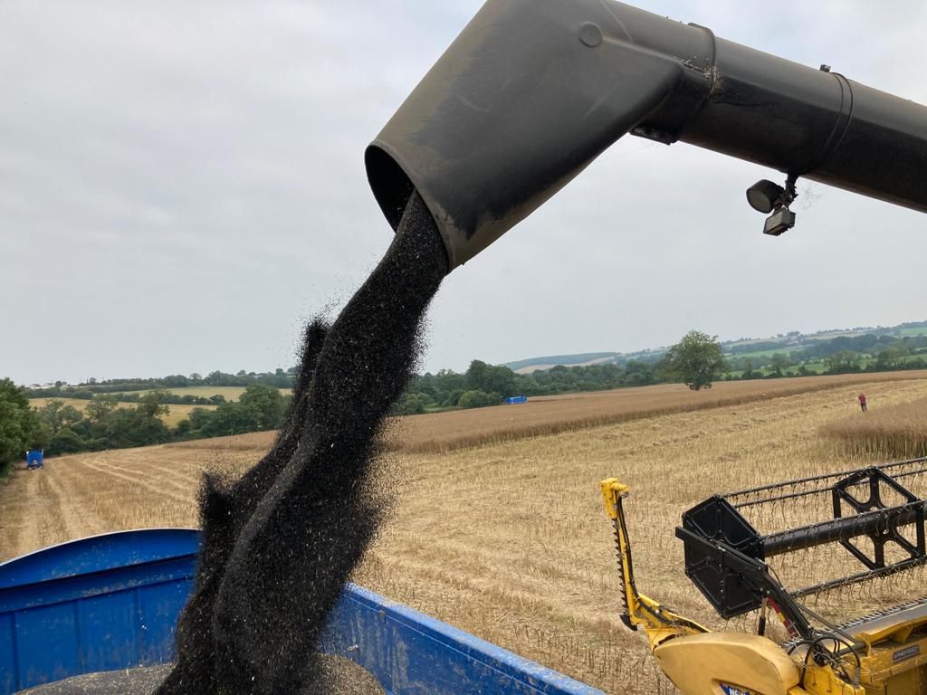 Winter OSR and barley harvest almost wrapped up in NI
