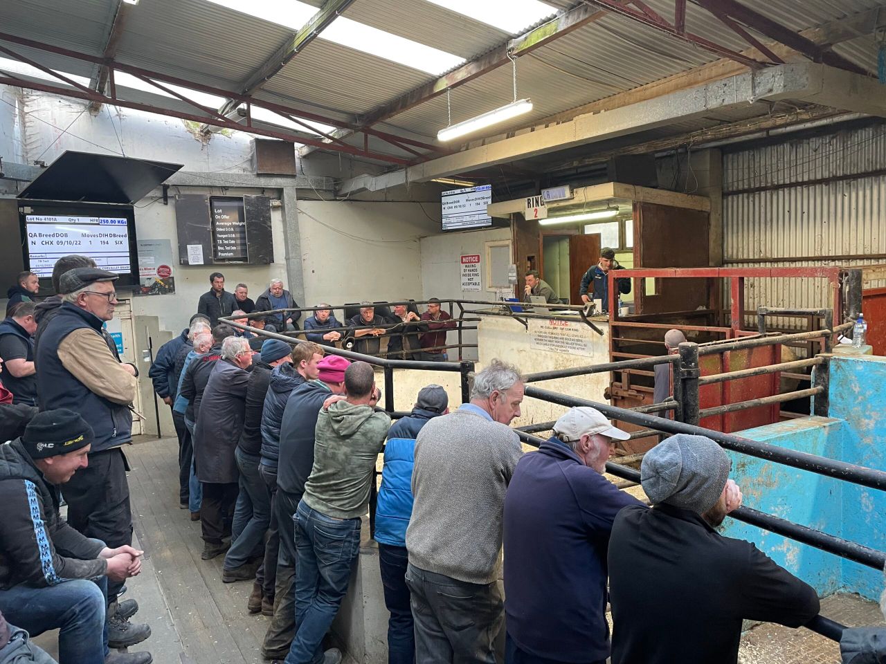 Weanling exporters 'urged to refrain from disruption of mart sales'