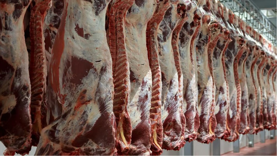 2025 factory cow kill falls by near 94,000 head or 21%