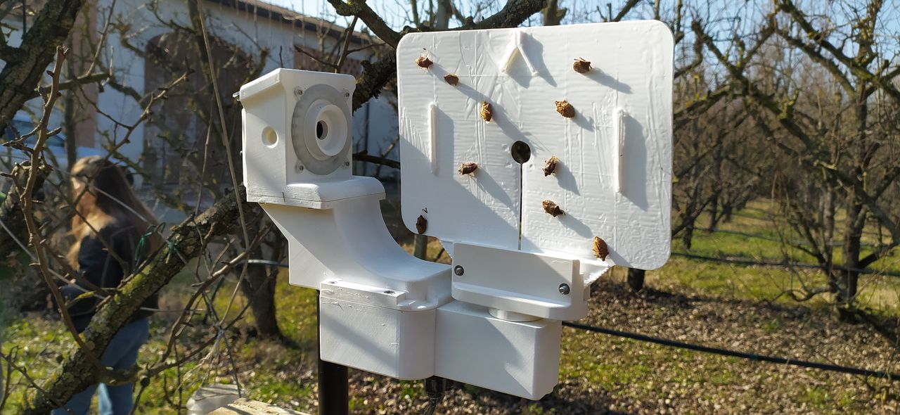 Cork researchers using AI to monitor invasive insect species