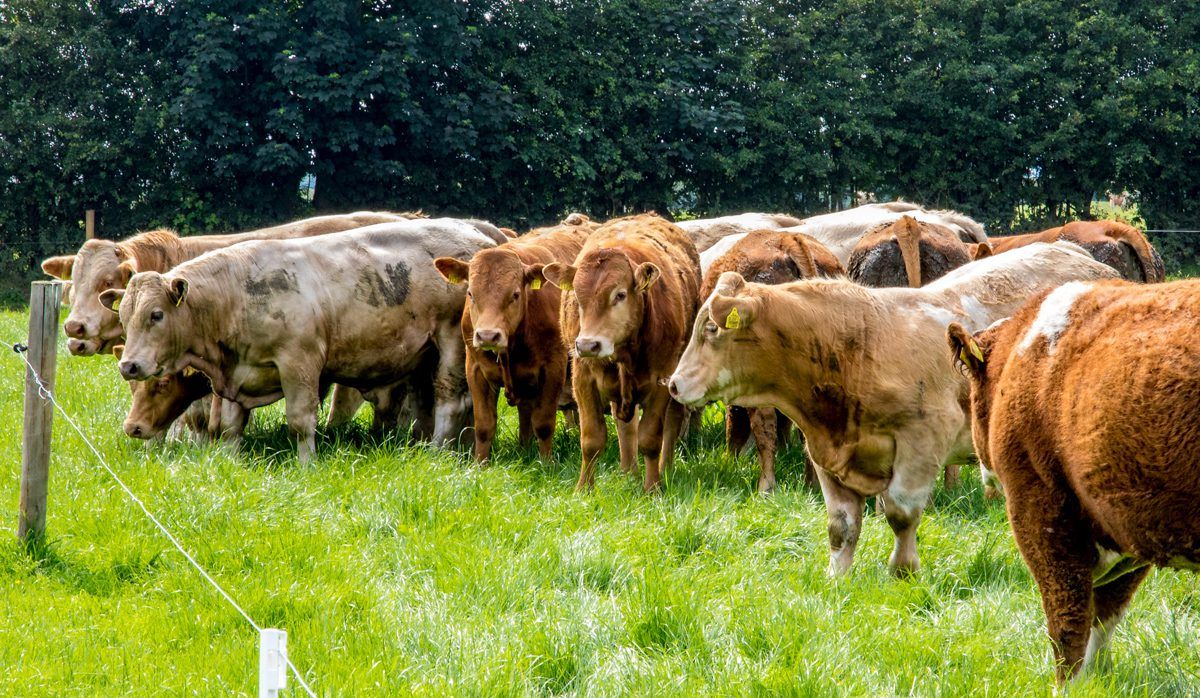 70-day residency rule: What do the country's farm leaders think? 