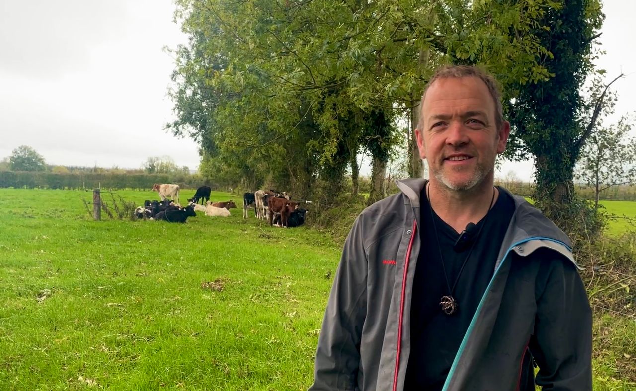 Watch: Limerick dairy farm slashes inputs with regenerative practices