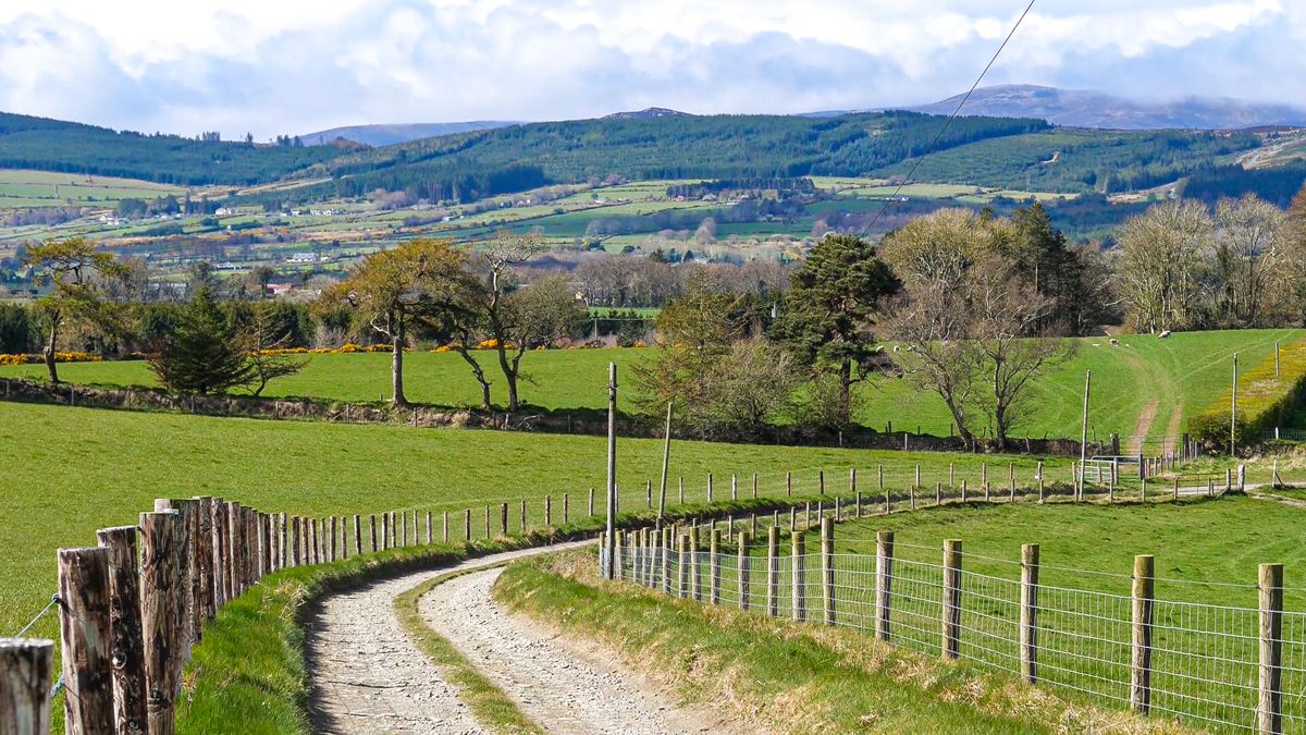 'Lots of issues' in Louth greenway Public Consultation report