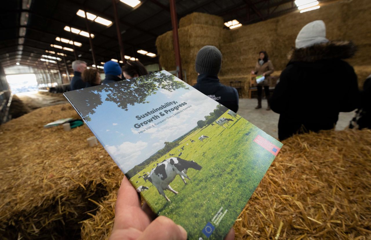 '4 in 10 consumers believe they are well informed about sustainability' - new research