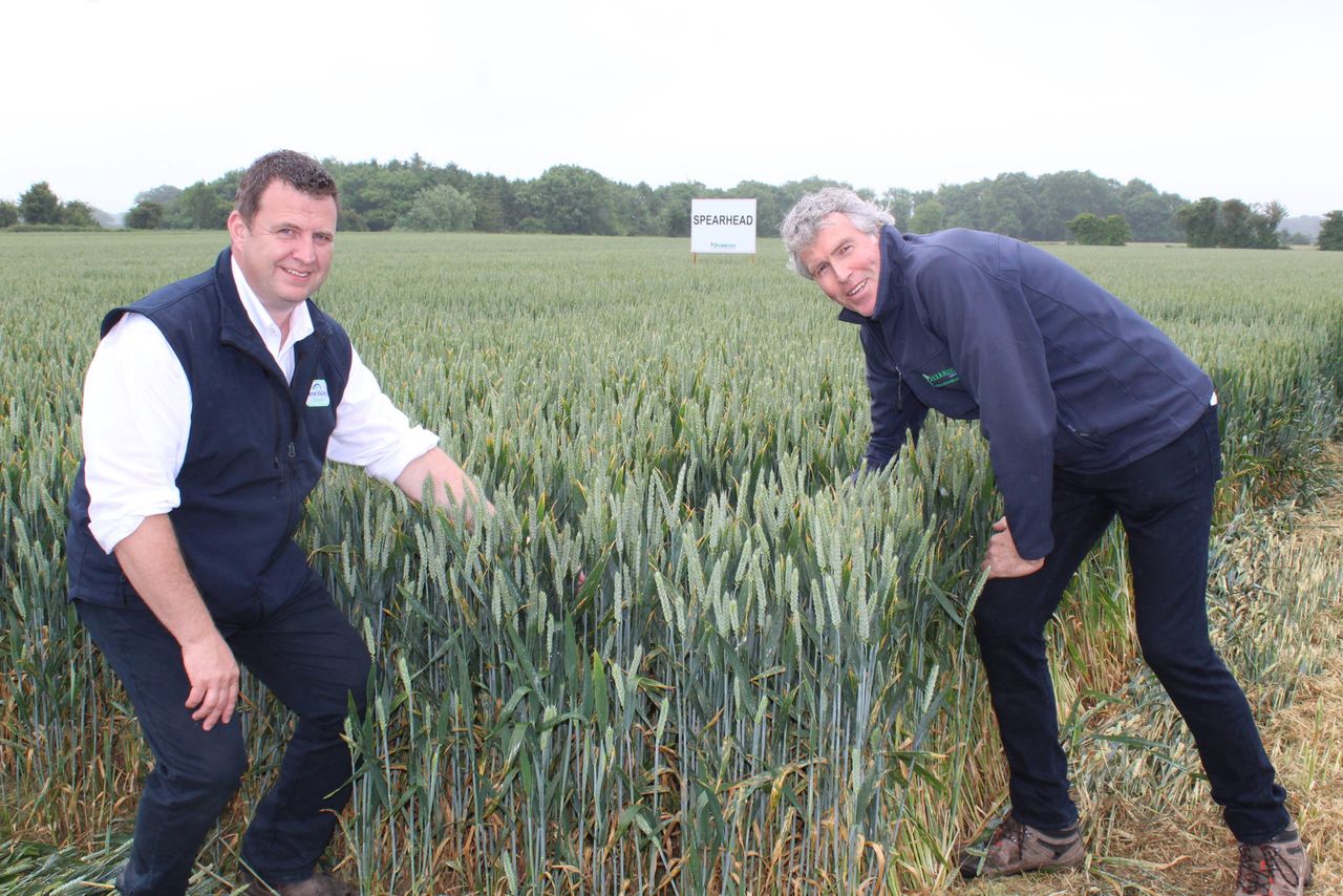 Tillage advice: T2 spraying of spring cereals now a priority