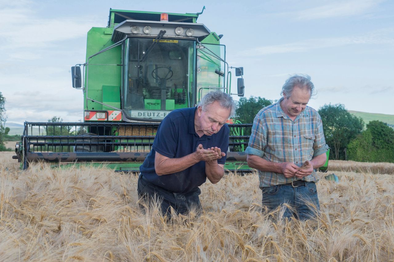 Watch: Winter barley harvest kicks off in Co. Tipperary