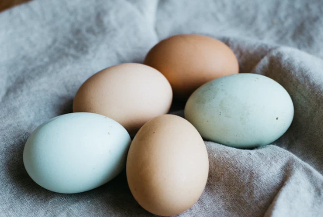 FSAI issues warning on cooking duck eggs amid salmonella concerns