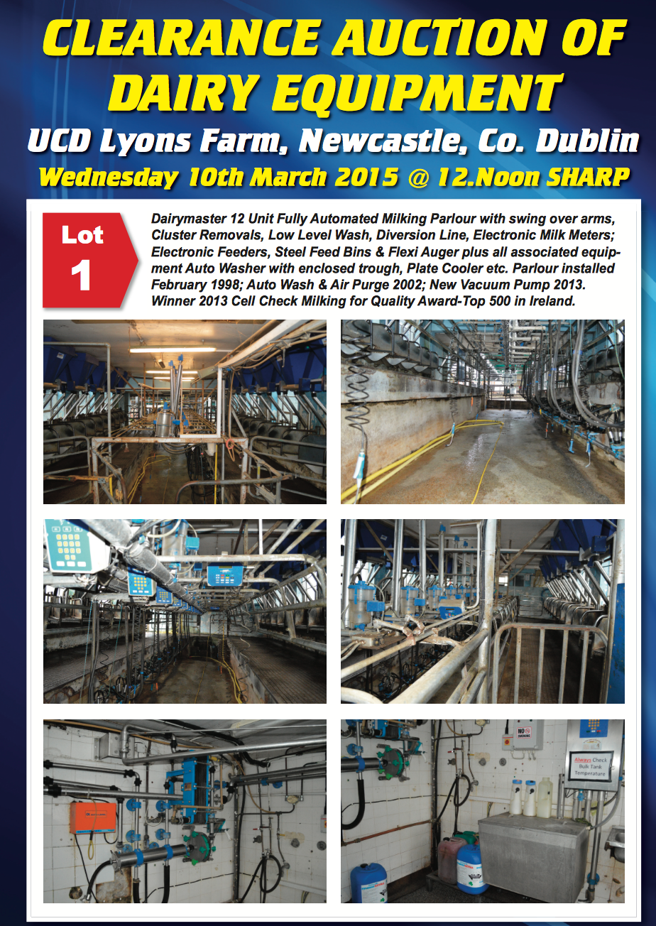 Large crowd at Lyons Estate for milking equipment auction