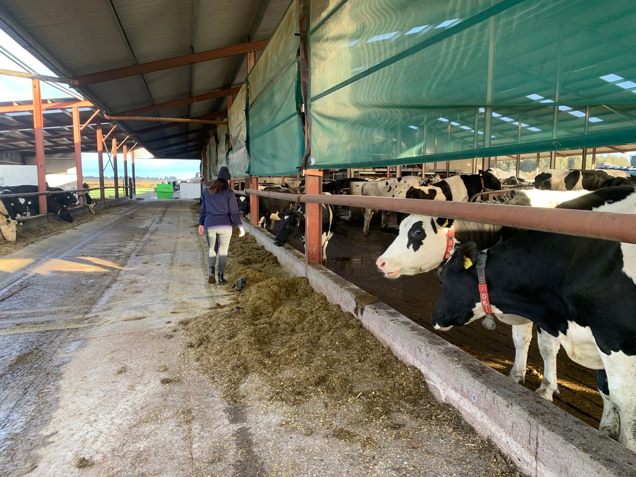 EU Commission changes rule on agricultural aid