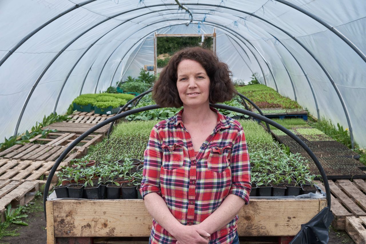 Celebrating St. Brigid and NI farmers - TV to watch this weekend