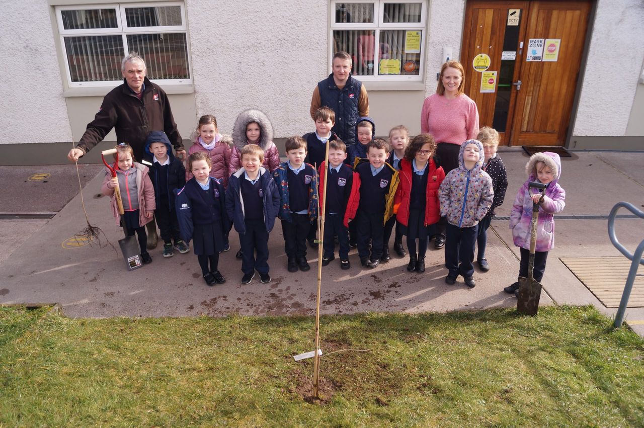 More than 1,000 trees planted at Monaghan primary schools
