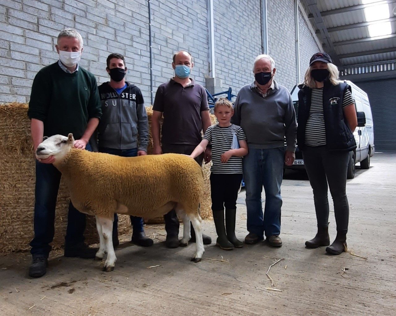 Records smashed at Belclare Sheep Society premier sale