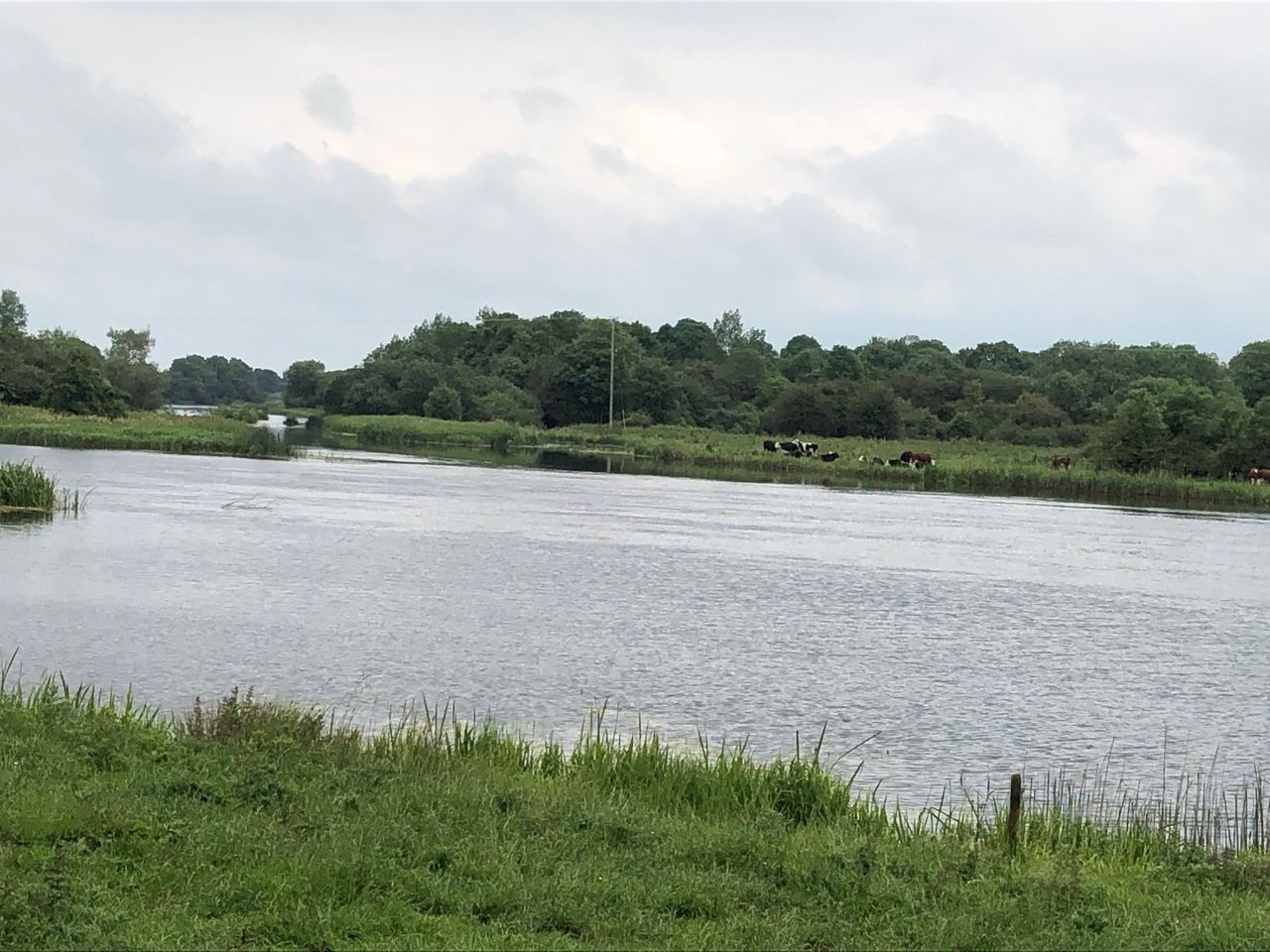 New website launched for Shannon flood risk group