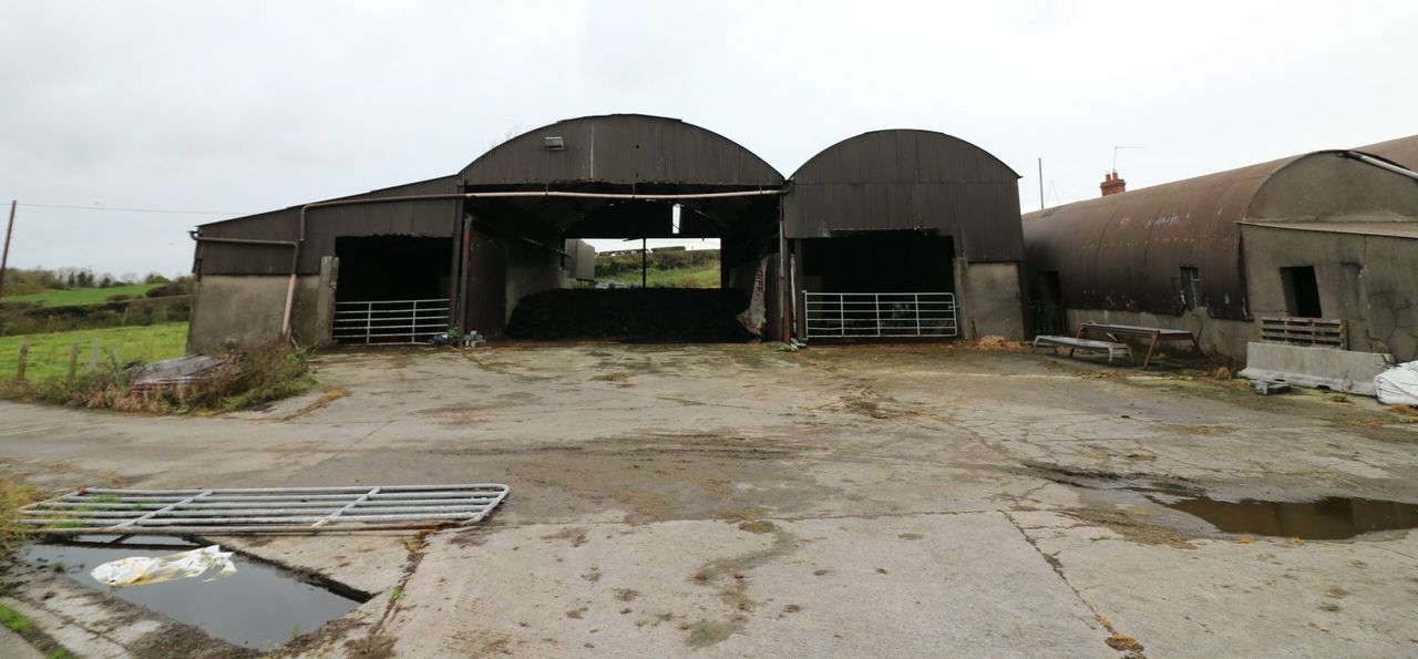 Knackeries: Animal collection halt will go ahead...with 'full closure' in coming days