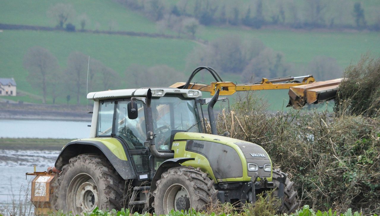 Kildare farmer ordered to pay €2,500 for illegal hedge-cutting