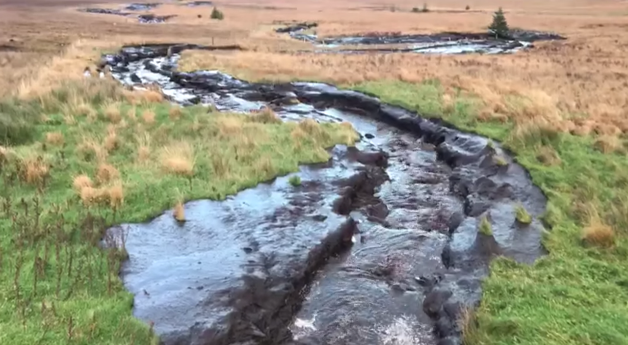 Meenbog: Concerns brought by locals to wind farm developer over site 'were ignored'
