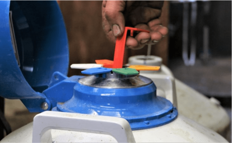 Have you considered using sexed semen on your dairy herd?
