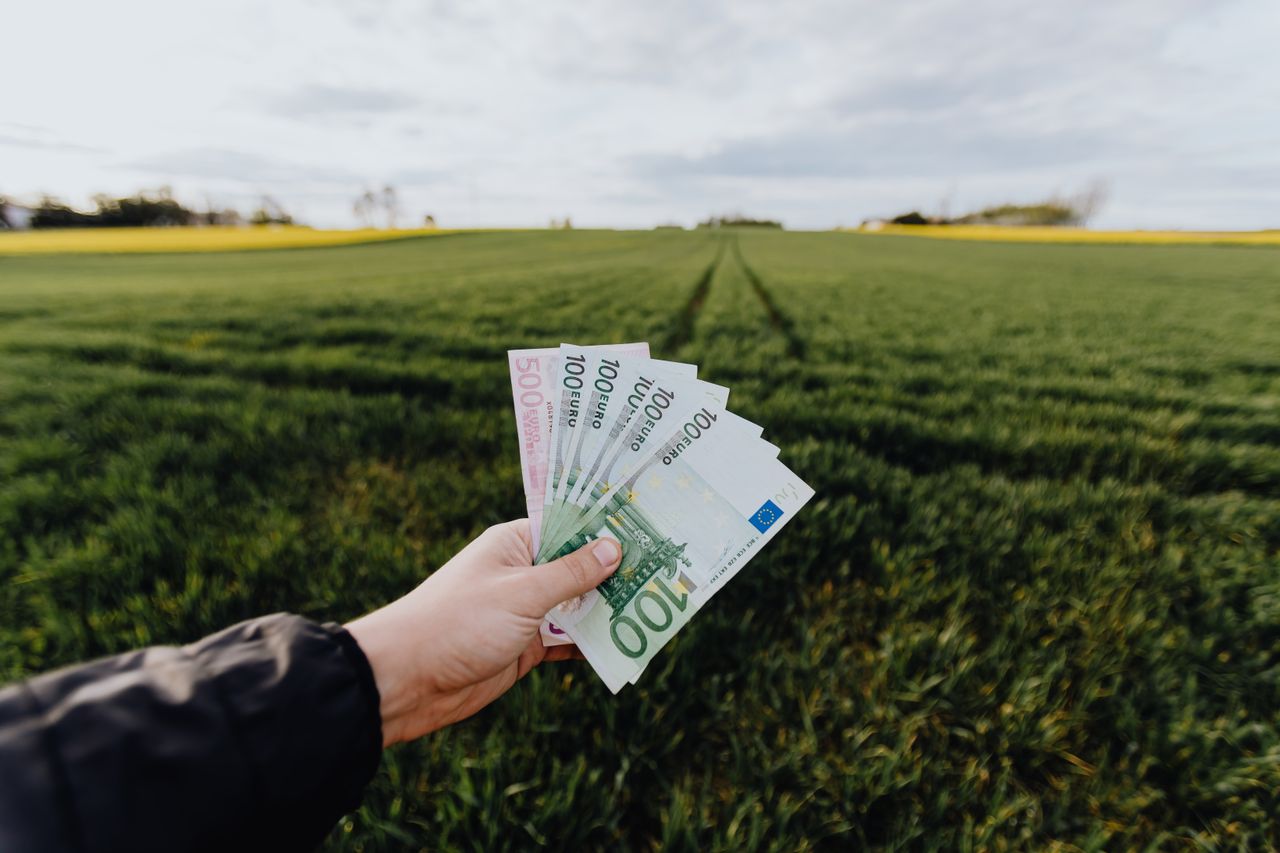 DAFM confirms payment dates for CRISS and eco-scheme