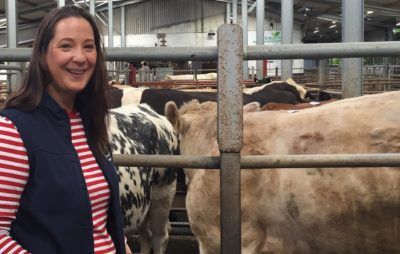 Mart insurance advocate to seek seat on Donegal County Council