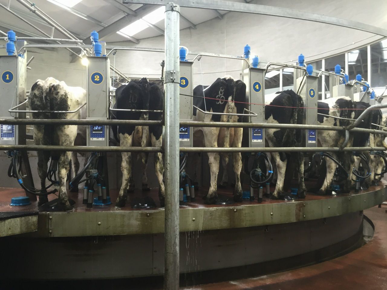 'Dairy farm partnerships must benefit all parties involved'
