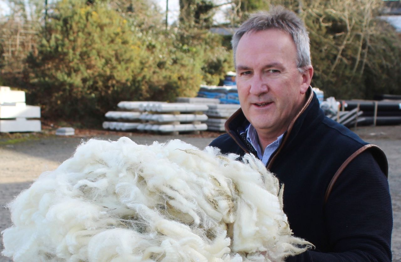 Ulster Wool: Ongoing rise in prices to be 'fully reflected' in payments next year