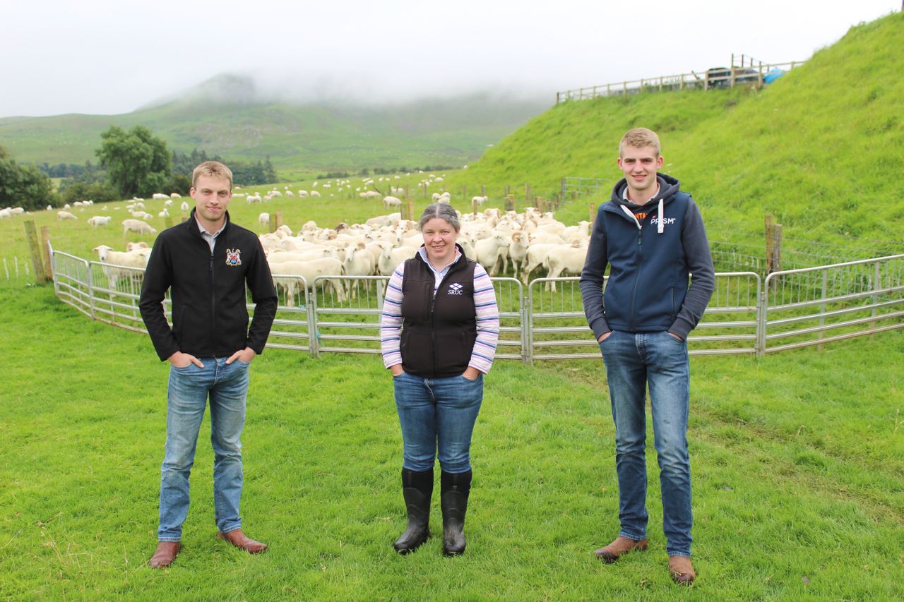 Genomics will 'revolutionise' performance in sheep sector