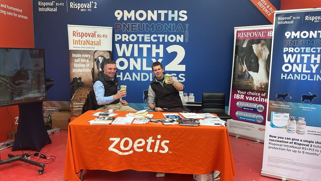 Zoetis Rispoval calf village returns to AXA National Dairy Show