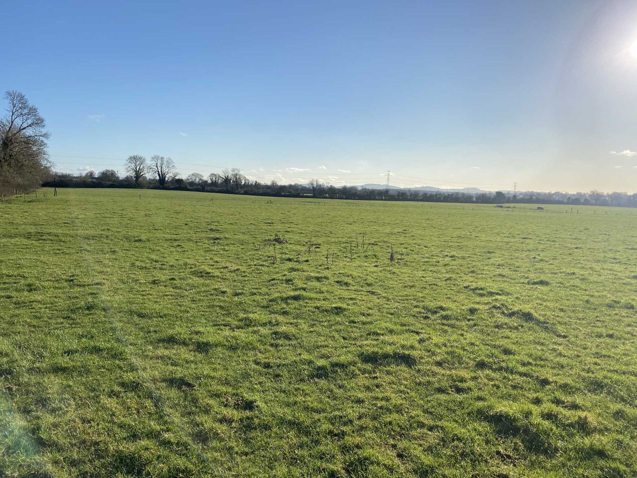 Lisnagry land offers opportunity for 'all types of farming'
