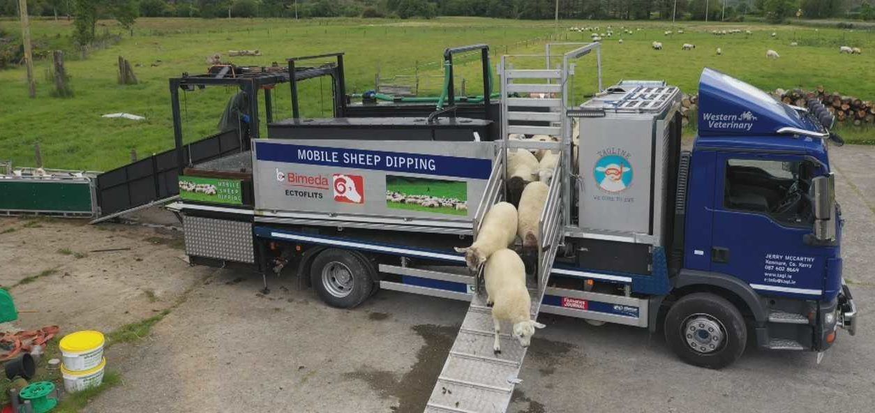 On the road...with a mobile sheep dipping rig
