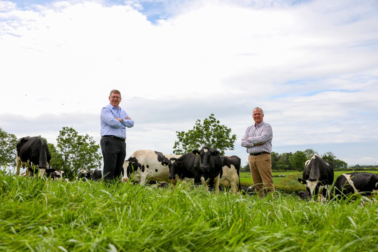 Dairy Council elects new chair and vice-chair
