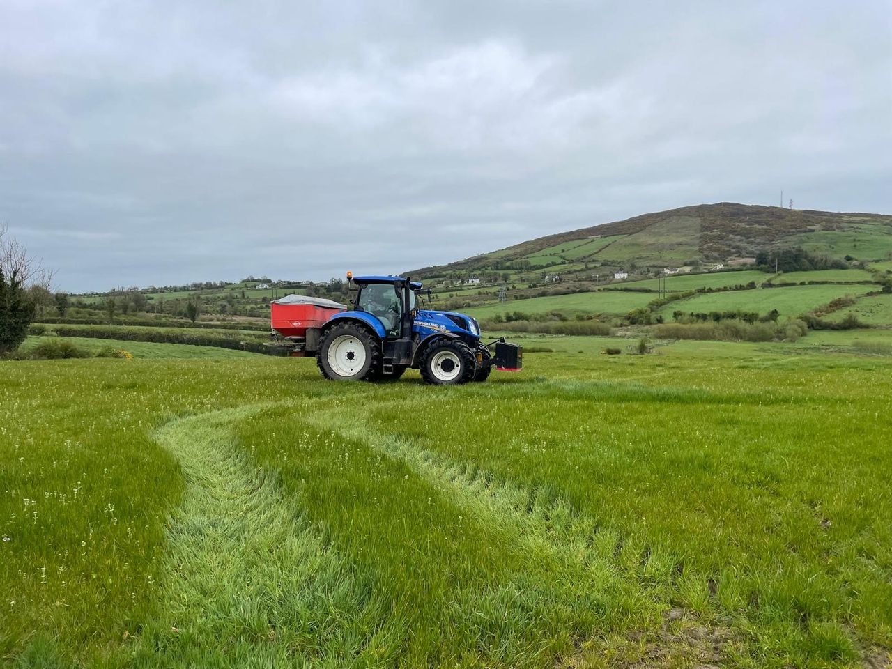First-cut fertiliser: Sow less and cut early or sow more and cut late?