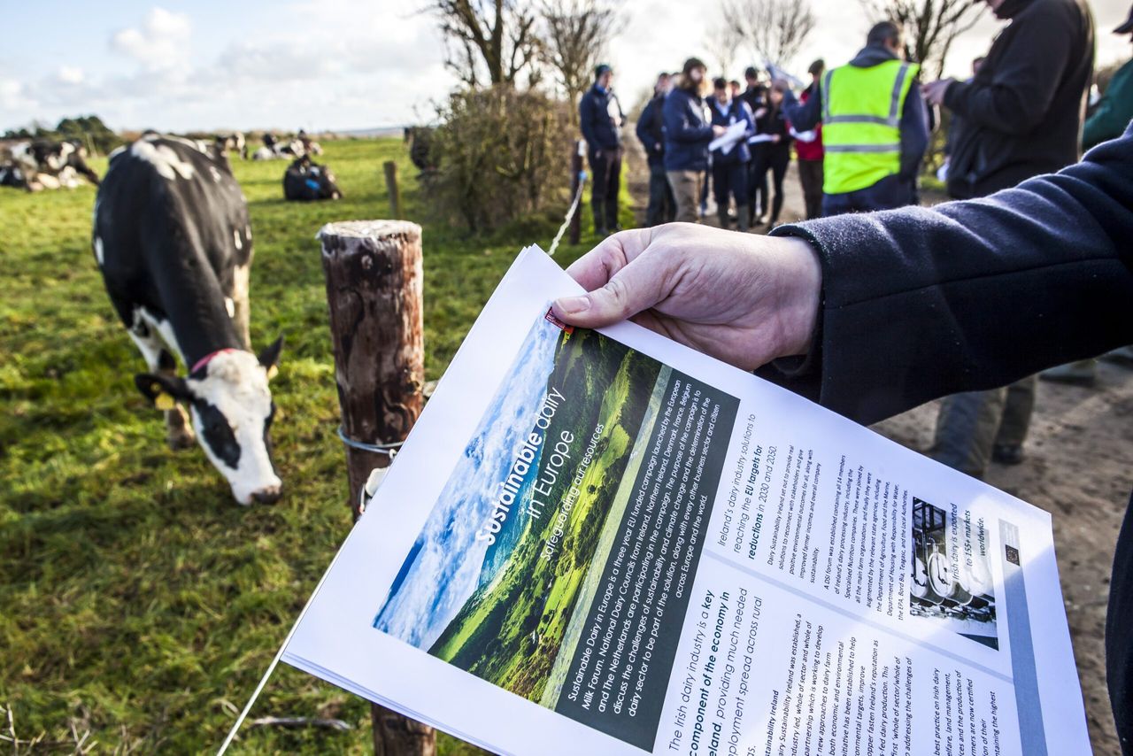Johnstown Castle farm walk highlights dairy sustainability