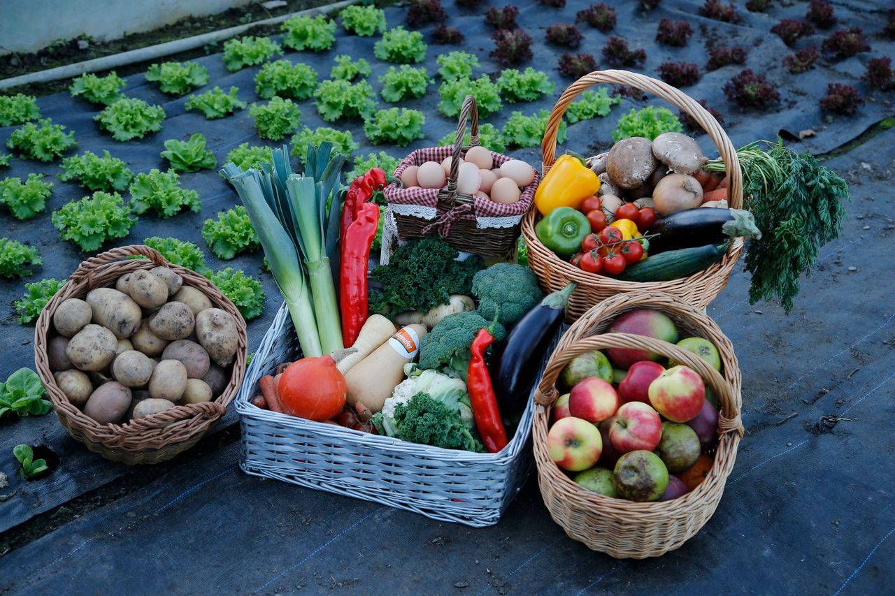 Rushing EU rules on organic productions 'would do more harm than good'