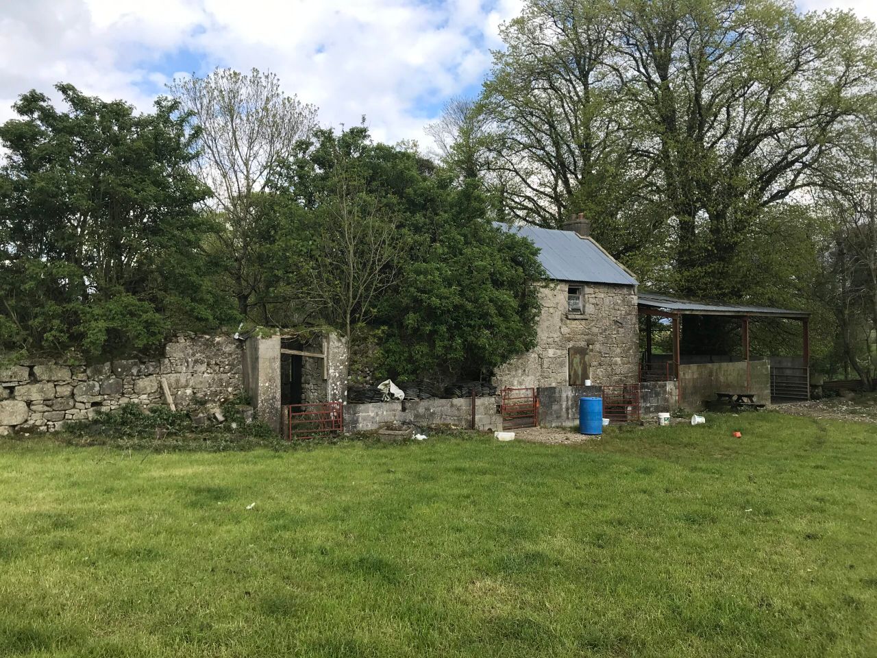 Hacketstown roadside holding with derelict house for sale