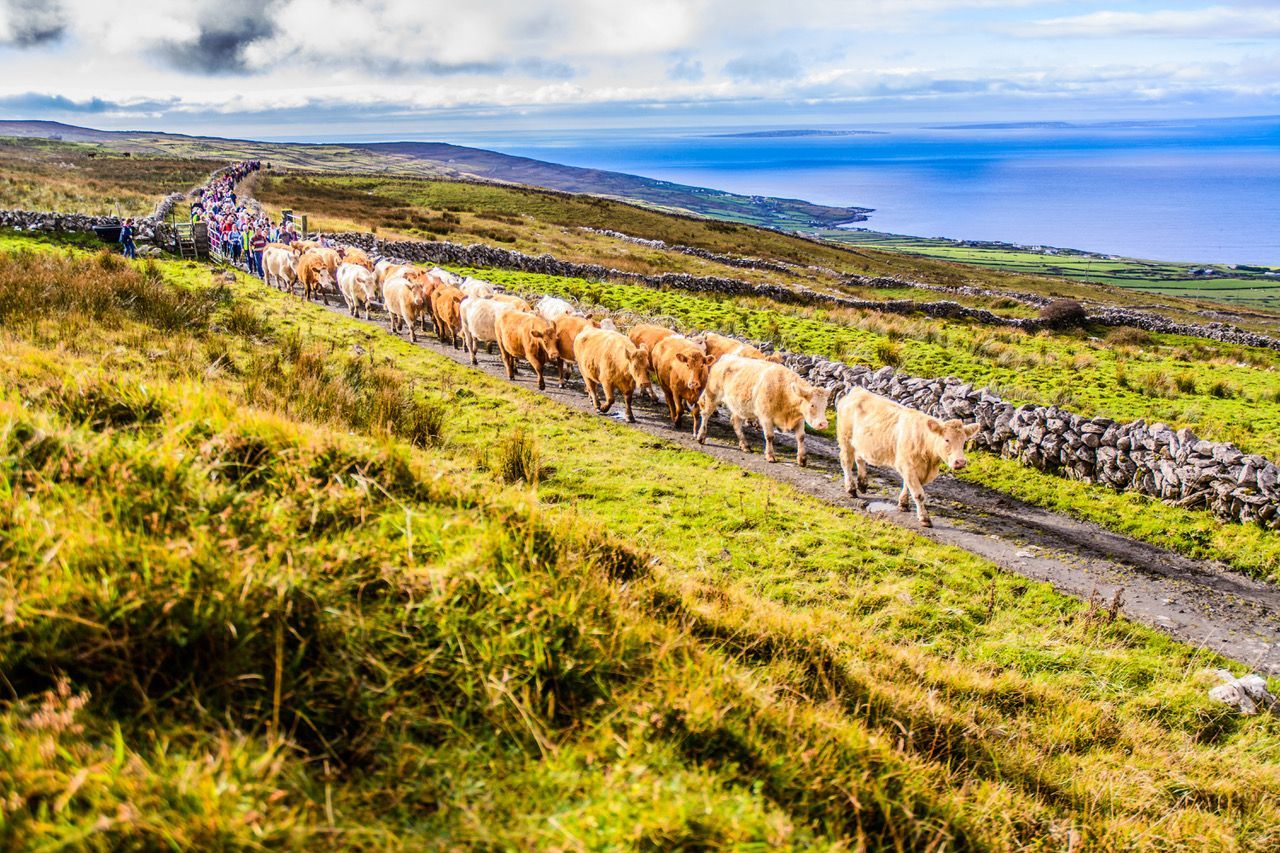 Burrenbeo Trust marks its 10th anniversary since launch