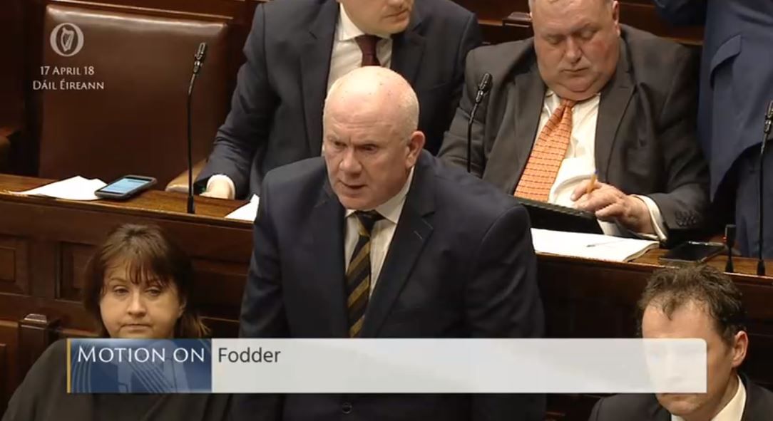 Fianna Fail's fodder motion passed in the Dail