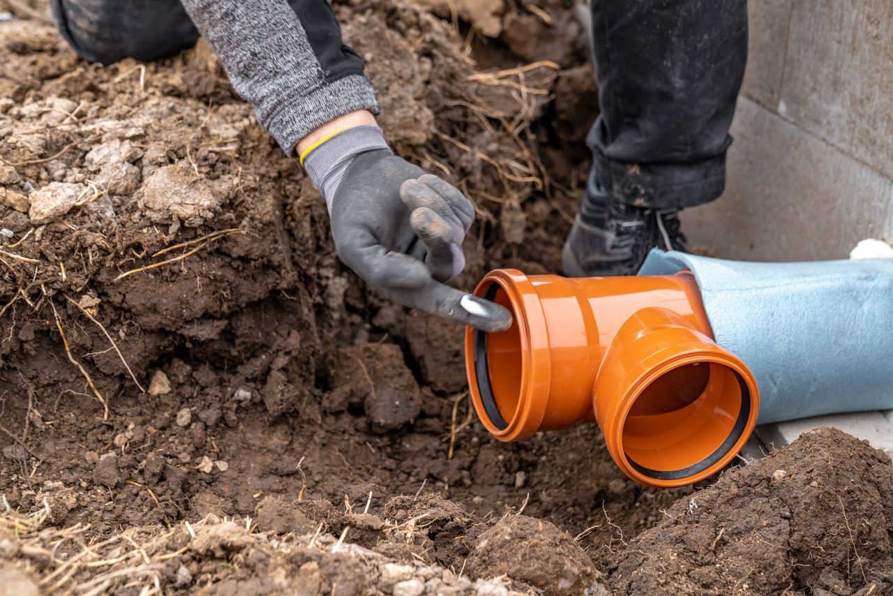 'Untreated sewage' in Ireland poses huge public health risk - MEP