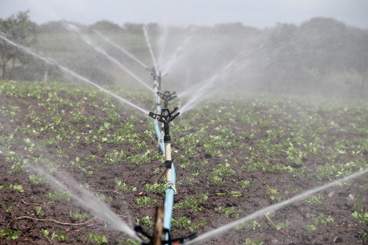 Ireland yet to make final decision on reusing treated wastewater