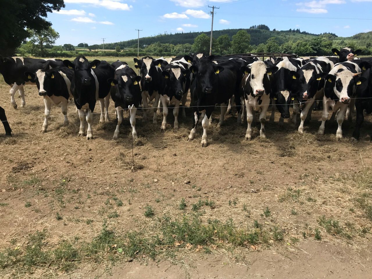 Drought strife: 'Farmers' first responsibility is a duty of care to themselves'