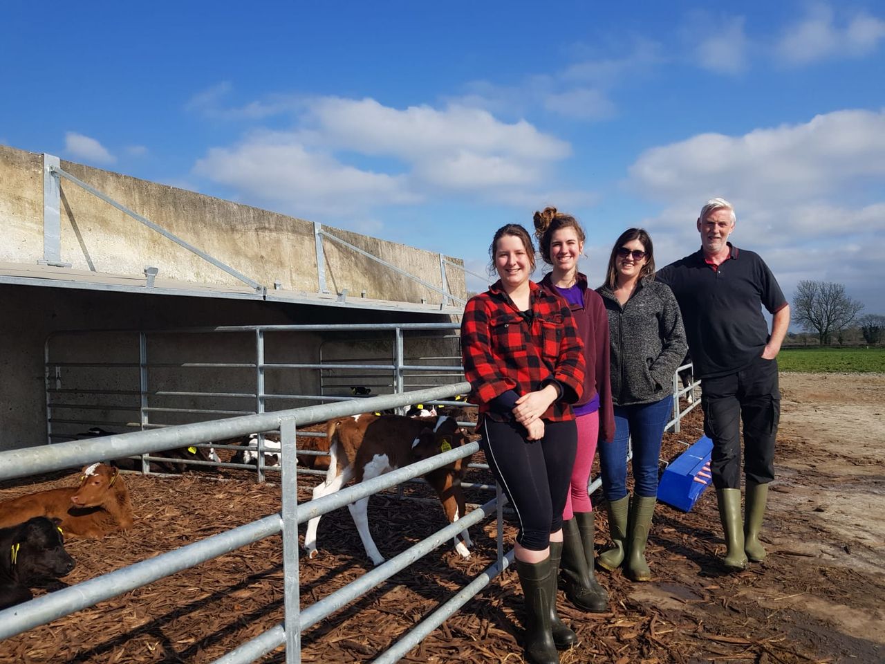 Converting a silage slab into calf housing facilities in Co. Meath